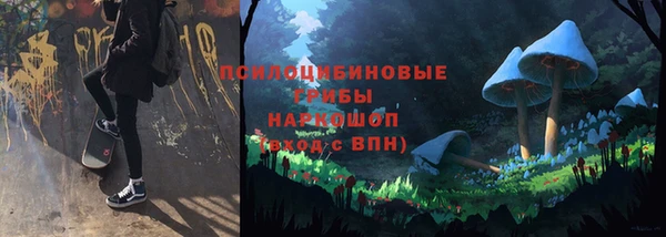 apvp Богородск