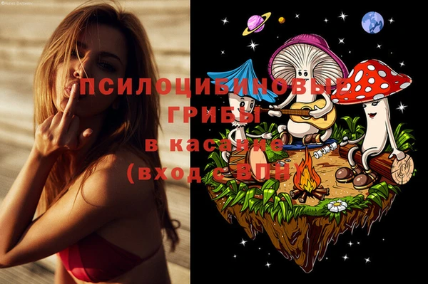 дживик Богданович