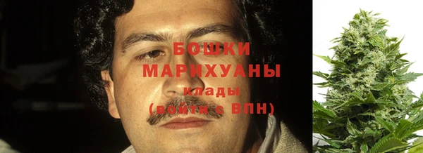 дживик Богданович