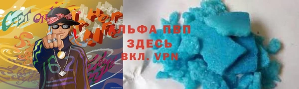 молекула духа Богородицк