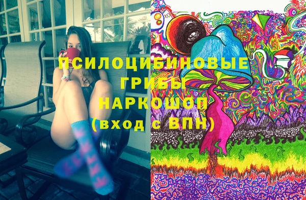 apvp Богородск