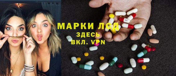 молекула духа Богородицк