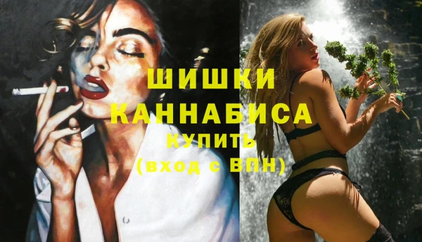 дживик Богданович