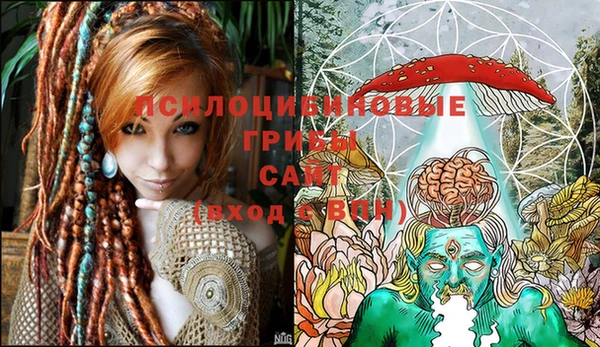 молекула духа Богородицк