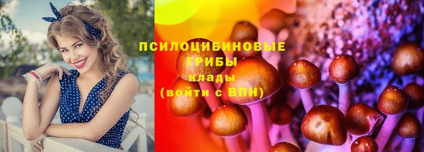 apvp Богородск